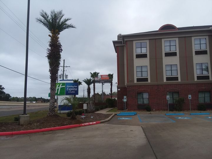 Palm trees at a commercial hotel property